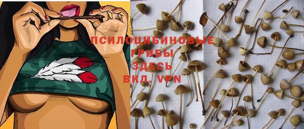 mdpv Кинешма