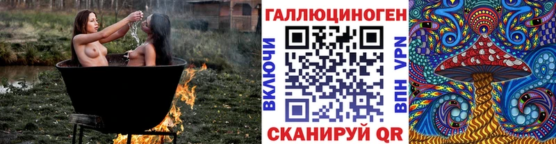 Галлюциногенные грибы Psilocybine cubensis  Купить  Вязьма 