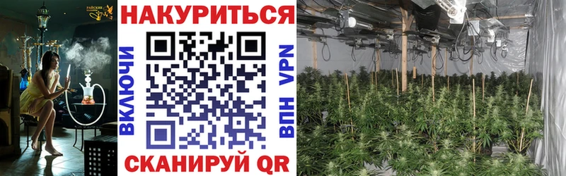 Купить  Вязьма  МАРИХУАНА White Widow 